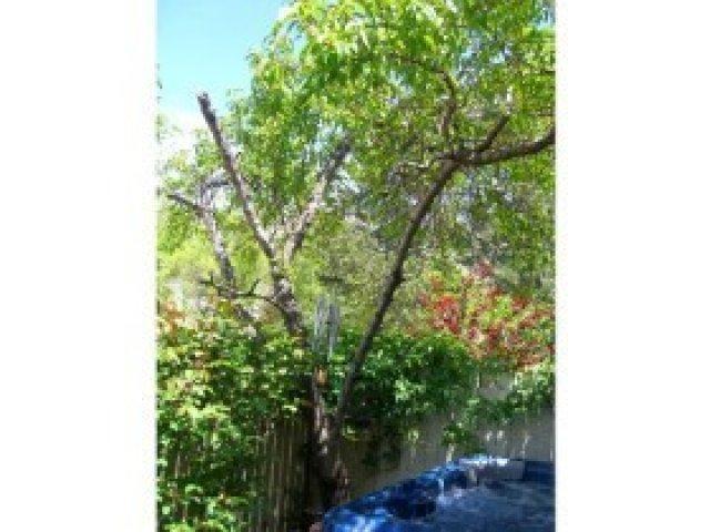 105 W Pheasantbrook Dr, Centerville, UT 84014 — photo 5