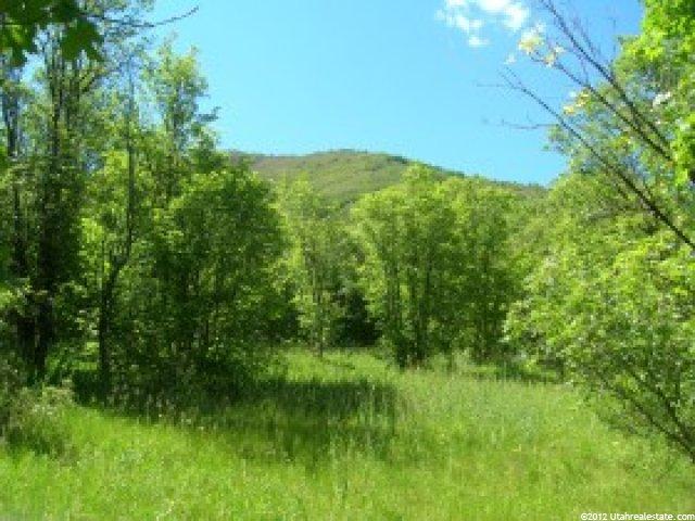 181 Oak Hvn #181, Midway, UT 84049 — photo 2