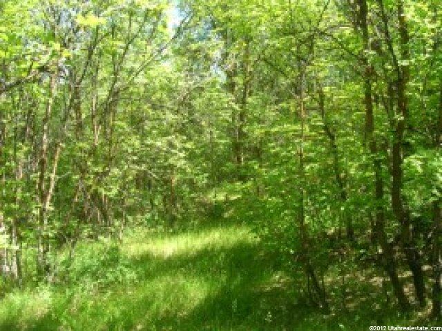 181 Oak Hvn #181, Midway, UT 84049 — photo 3