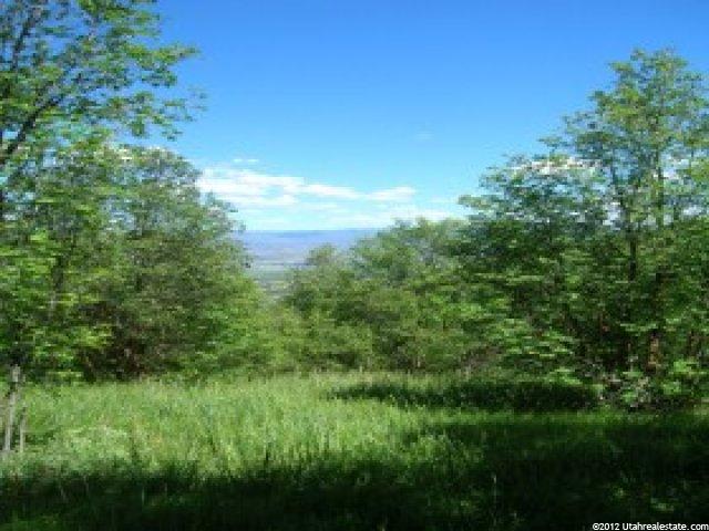 181 Oak Hvn #181, Midway, UT 84049 — photo 4