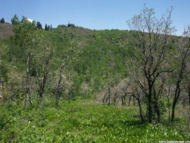 48 Stage Coach Ests #48, Park City, UT 84098 — photo 3