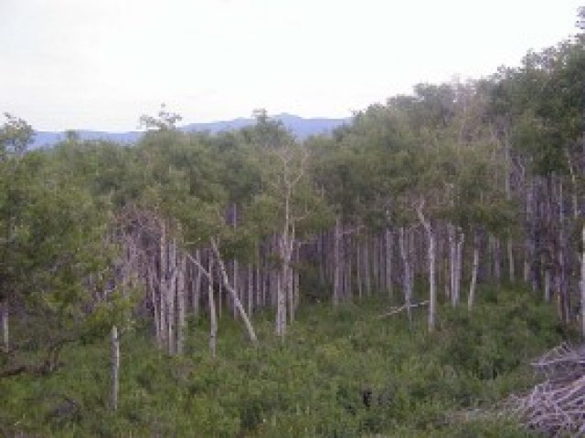 759 Shady Ln, Park City, UT 84098 — photo 9
