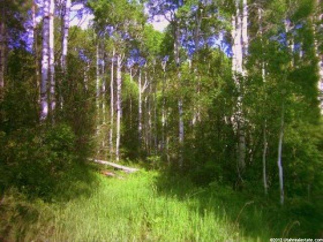 1 Sheepdog Dr, Woodland, UT 84036 — photo 7