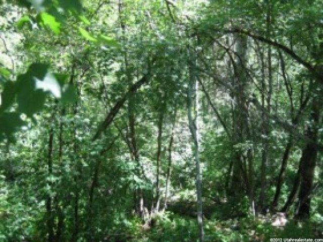 24 A Summer Homesite #24A, Midway, UT 84049 — photo 3
