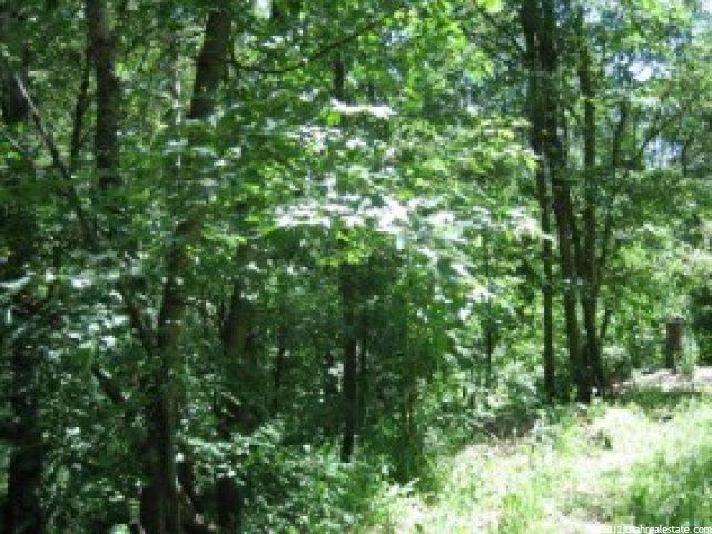 24 A Summer Homesite #24A, Midway, UT 84049 — photo 4