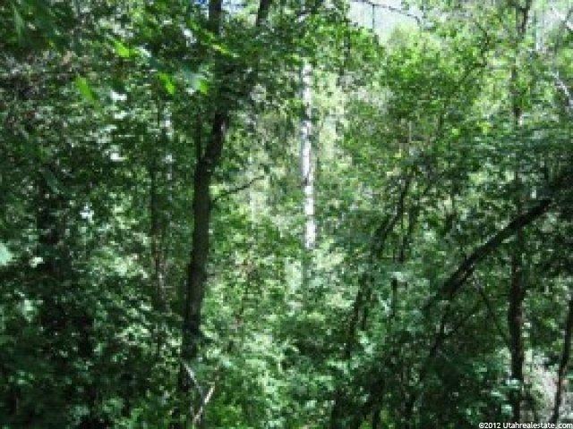 24 A Summer Homesite #24A, Midway, UT 84049 — photo 5