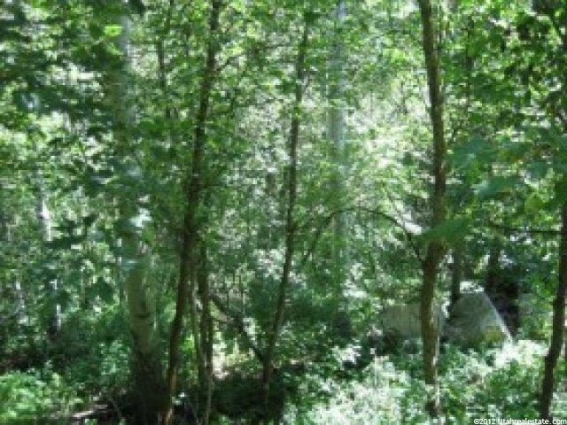 24 A Summer Homesite #24A, Midway, UT 84049 — photo 6