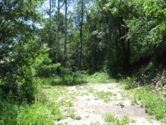 24 A Summer Homesite #24A, Midway, UT 84049 — photo 7