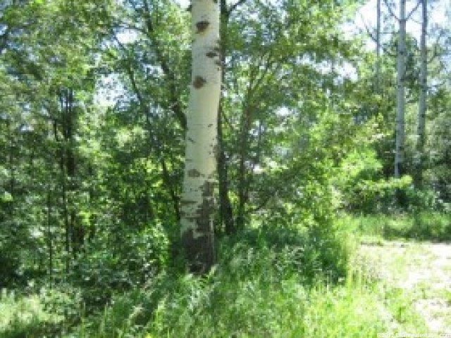 24 A Summer Homesite #24A, Midway, UT 84049 — photo 8