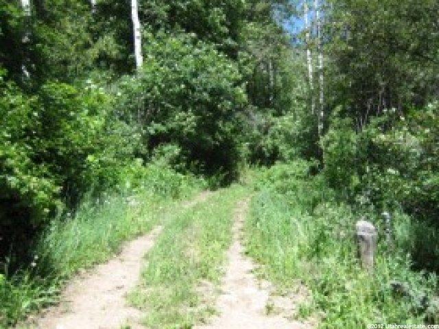 25 A Summer Homesite #25A, Midway, UT 84049 — photo 2