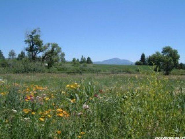 4461 Fuller Dr, Eden, UT 84310 — photo 4