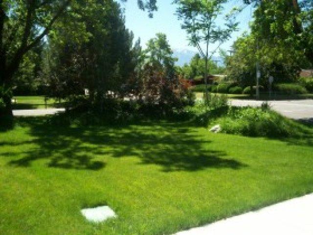 1651 E Woodcrest Dr, Holladay, UT 84117 — photo 11