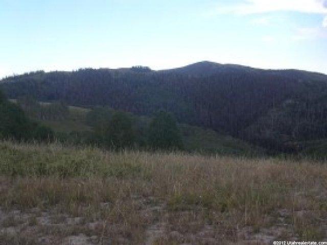 25000 E 27000 N, Fairview, UT 84629 — photo 4