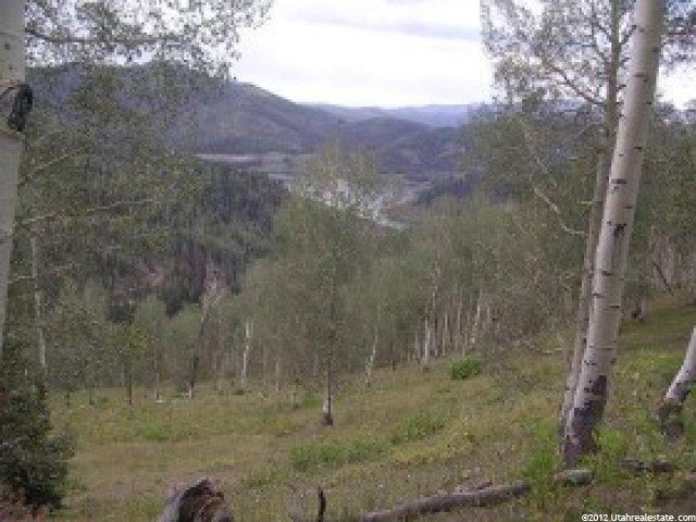 25000 E 27000 N, Fairview, UT 84629 — photo 6
