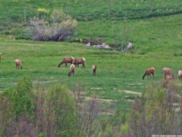 3104 E 3350 N, Liberty, UT 84310 — photo 8