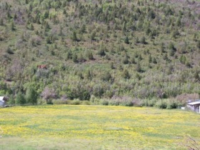 3370 E Mirror Lake Hwy, Kamas, UT 84036 — photo 3