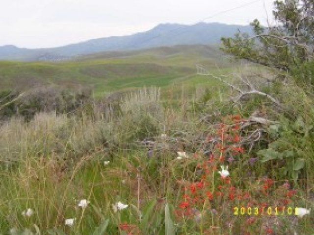 6145 E Highway 36, Malad City, ID 83252 — photo 2