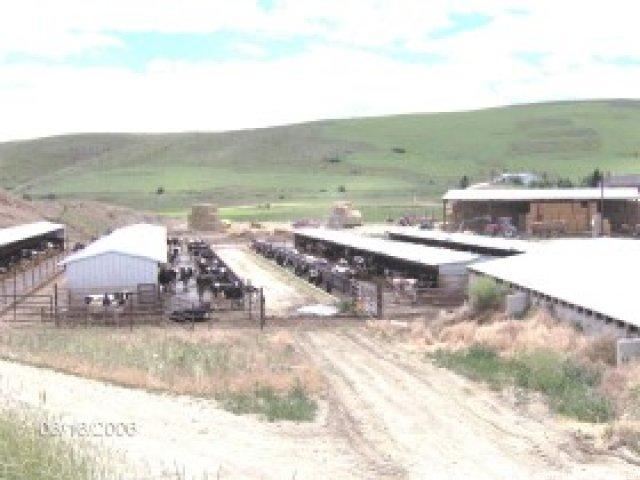 1607 E 9000 N, Preston, ID 83263 — photo 5