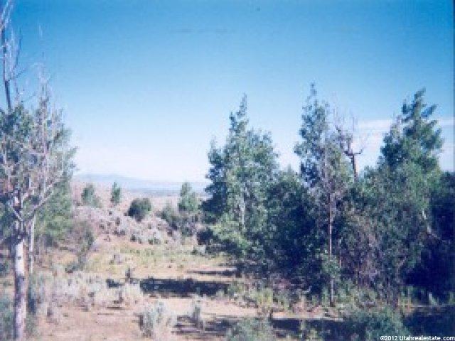 800 E Cemetary Rd, Dingle, ID 83233 — photo 2