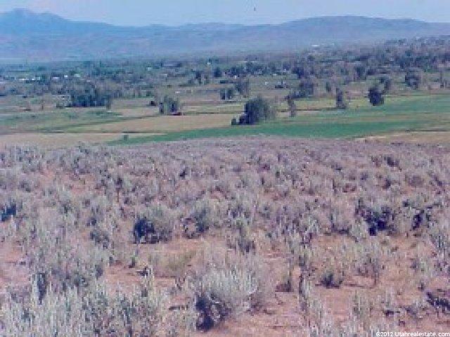 800 E Cemetary Rd, Dingle, ID 83233 — photo 12