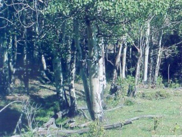 800 E Cemetary Rd, Dingle, ID 83233 — photo 5