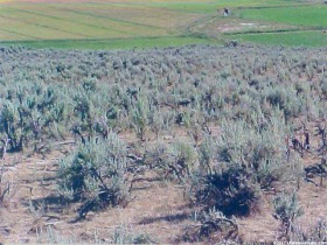 800 E Cemetary Rd, Dingle, ID 83233 — photo 9
