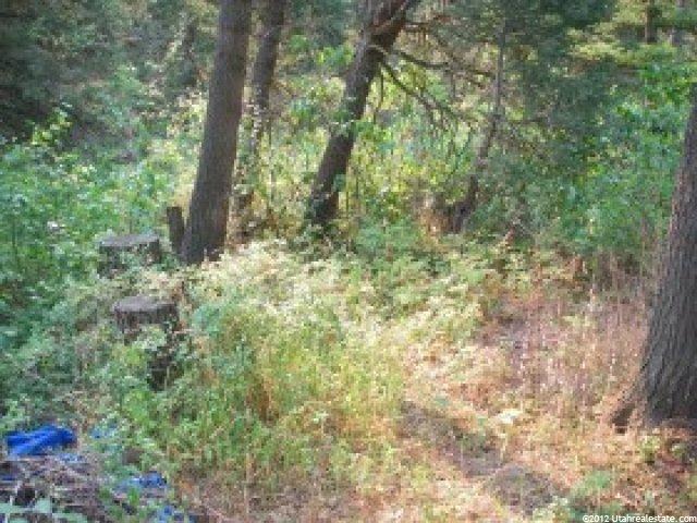 170 Zermat Strasse, Park City, UT 84098 — photo 2