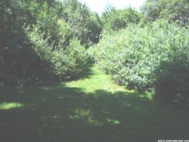 6524 W Stevens Ln, Highland, UT 84003 — photo 7