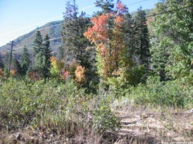 22 Kj Subdivision Cabin, Midway, UT 84049 — photo 3