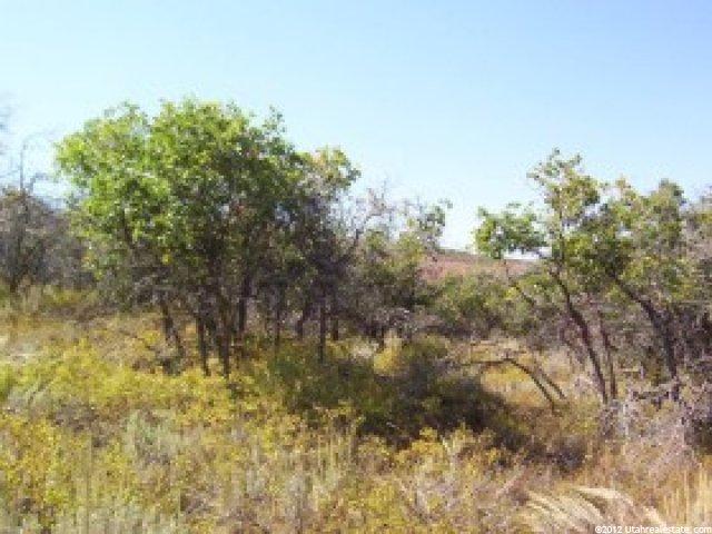 926 Acorn Cir, Timber Lakes, UT 84032 — photo 11
