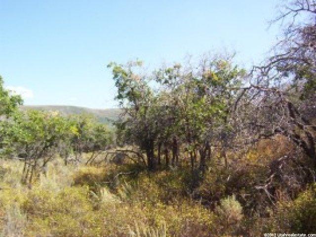 926 Acorn Cir, Timber Lakes, UT 84032 — photo 12