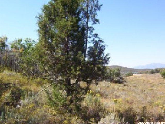 926 Acorn Cir, Timber Lakes, UT 84032 — photo 10