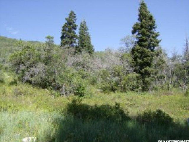6980 Canyon Dr #2, Park City, UT 84098 — photo 5