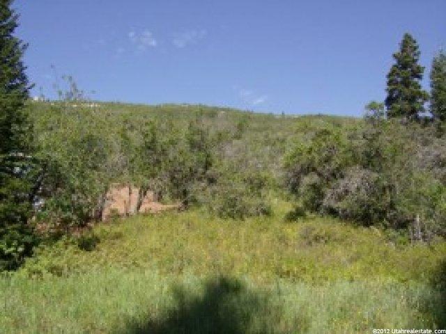 6980 Canyon Dr #2, Park City, UT 84098 — photo 6