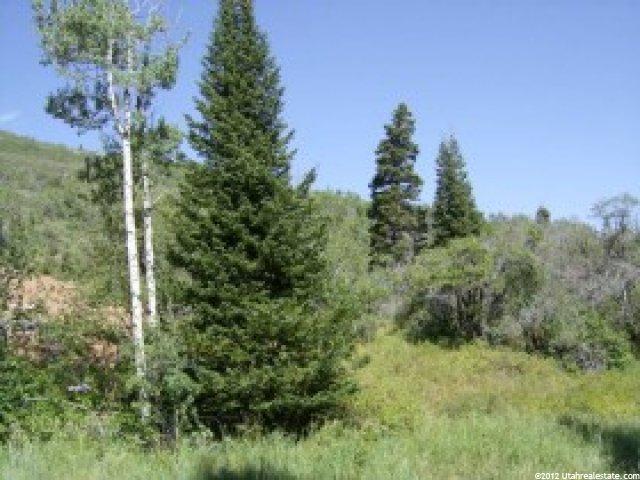 6980 Canyon Dr #2, Park City, UT 84098 — photo 7