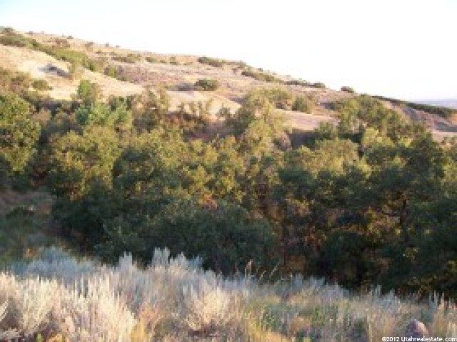 424 Greystone Dr #307, Farmington, UT 84025 — photo 2