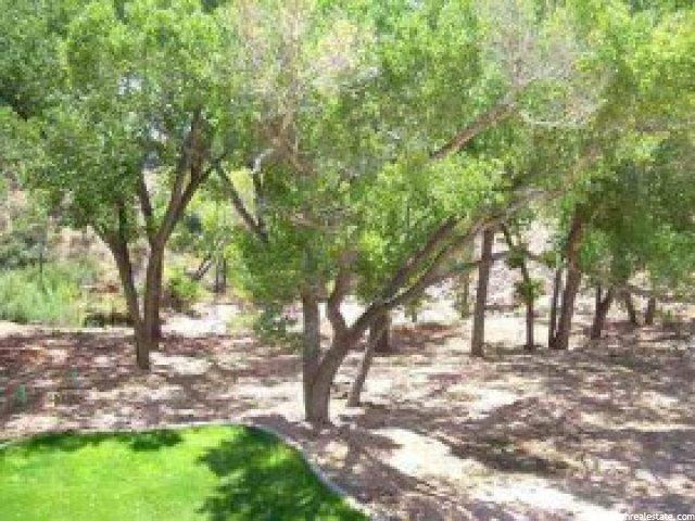 1533 S Cane, Toquerville, UT 84774 — photo 3