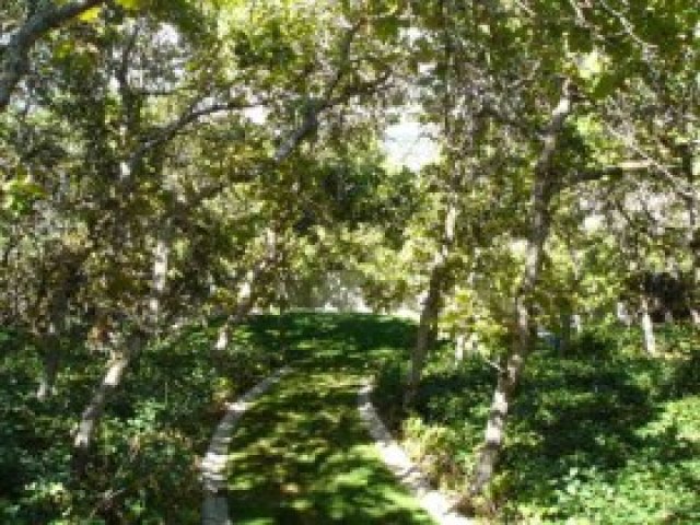 11698 S Cassowary Dr E, Sandy, UT 84092 — photo 8