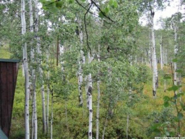 14 Beaver Spgs, Oakley, UT 84055 — photo 3