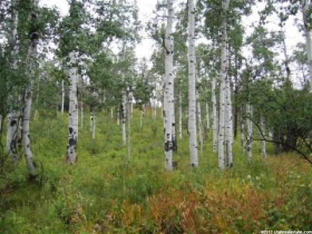 14 Beaver Spgs, Oakley, UT 84055 — photo 4