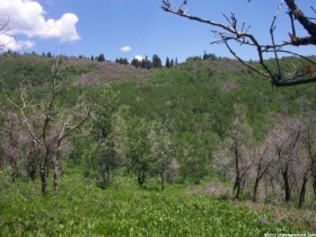 48 Stagecoach Ests #48, Park City, UT 84098 — photo 3