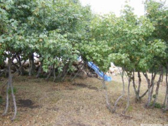 609 Mountain Way, Fish Haven, ID 83287 — photo 11