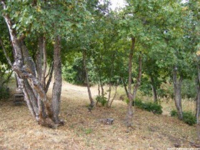 609 Mountain Way, Fish Haven, ID 83287 — photo 9