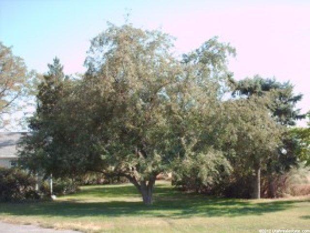 10767 S 2000 E, Sandy, UT 84092 — photo 11