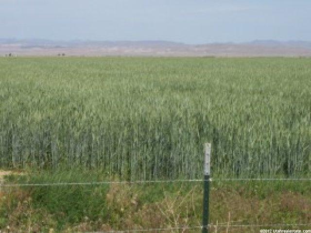 8025 W 3500 N, Delta, UT 84624 — photo 5