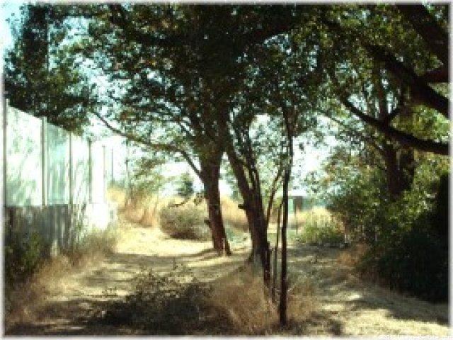 10767 S 2000 E, Sandy, UT 84092 — photo 9