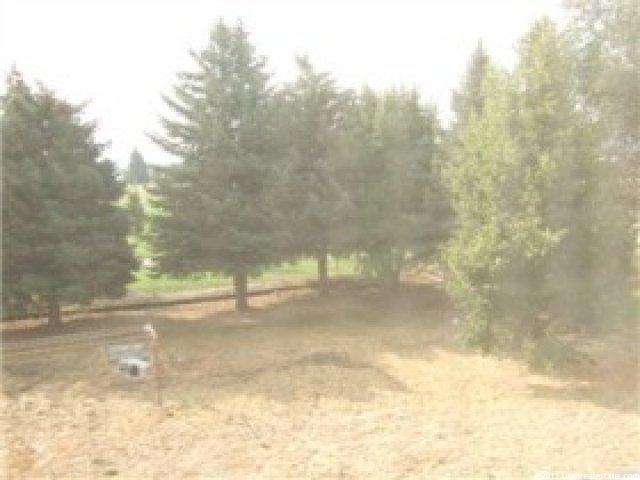 36 Bush Ave, Malad City, ID 83252 — photo 9