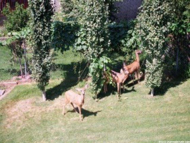 658 E Scenic Hls E, North Salt Lake, UT 84054 — photo 10