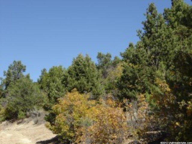 287 Shadow Canyon Dr #287, Fairview, UT 84629 — photo 5