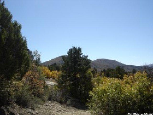287 Shadow Canyon Dr #287, Fairview, UT 84629 — photo 6